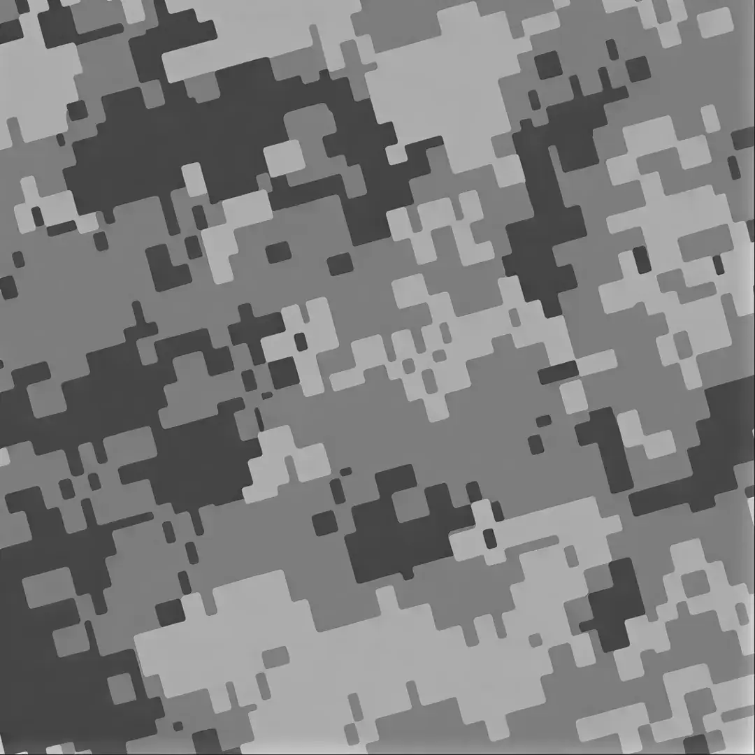 Sound of Camo, dokumentace, snímek 3 z 4