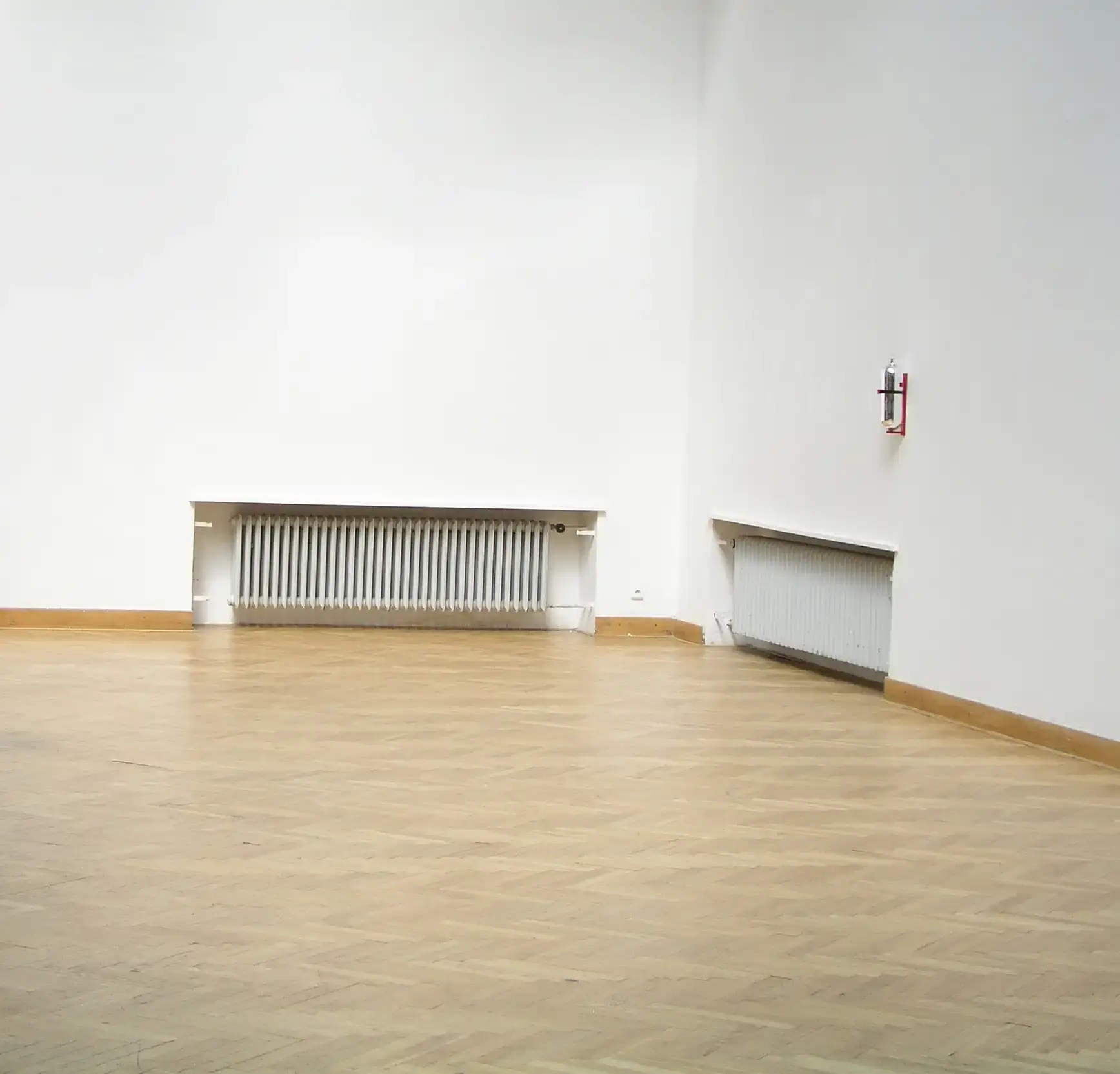 Kůže chameleona, dokumentace, snímek 5 z 5