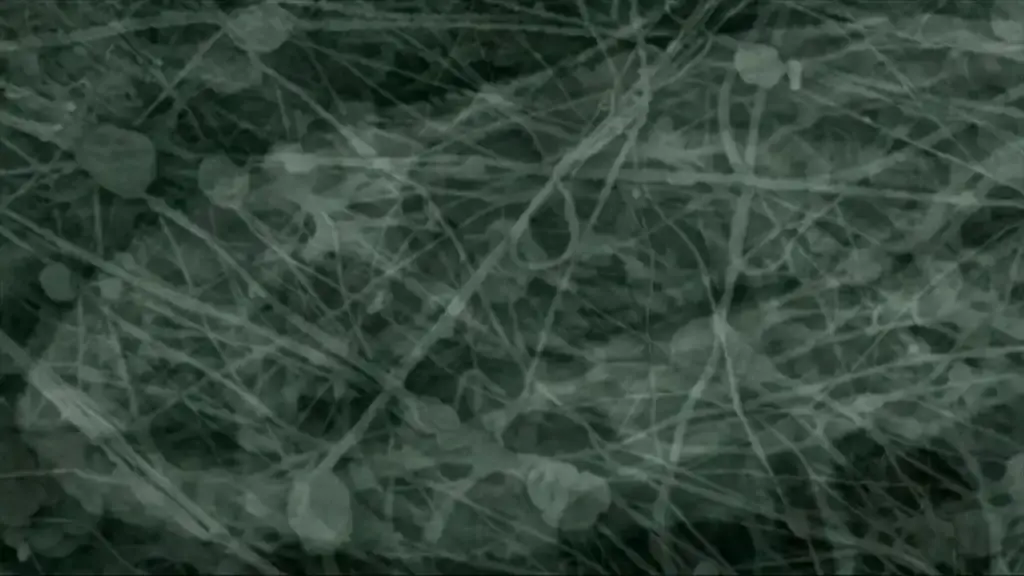 Nanoface, dokumentace, snímek 3 z 6