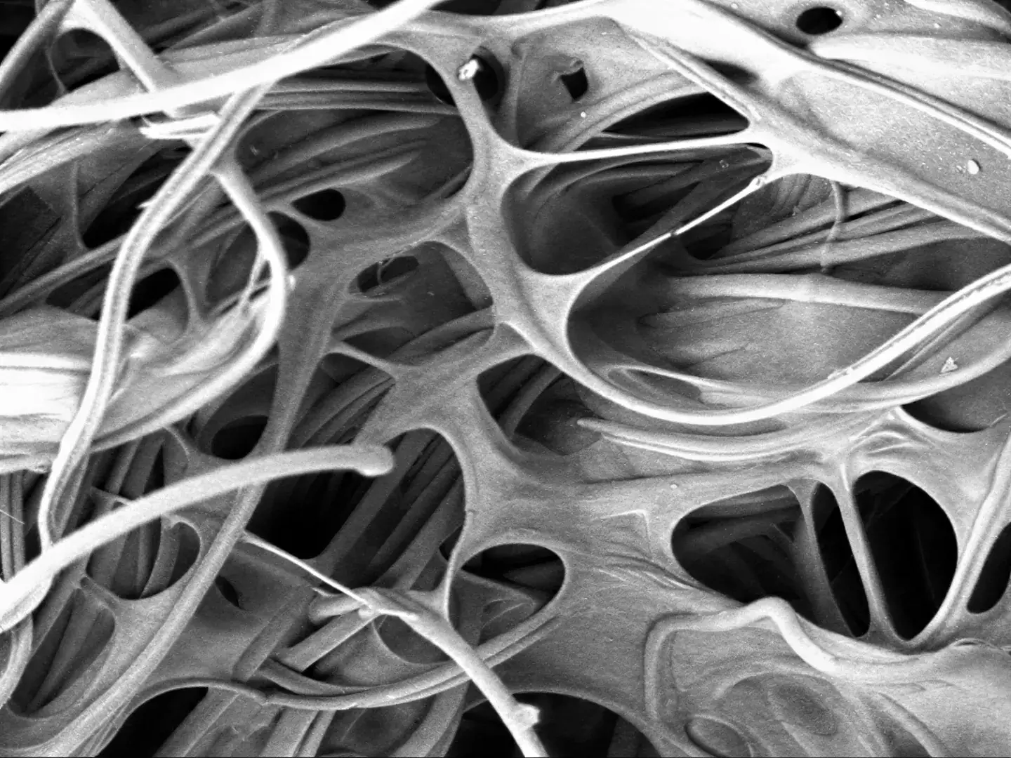 Nanoface, dokumentace, snímek 6 z 6